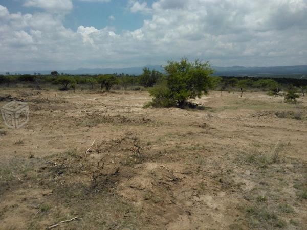 Terreno en tanque de los jimenez