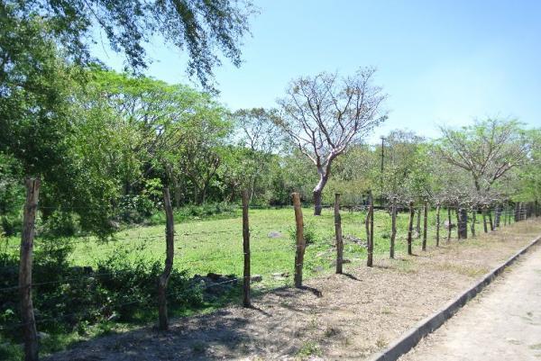 Terreno en Venta Los Ciruelos, , Col