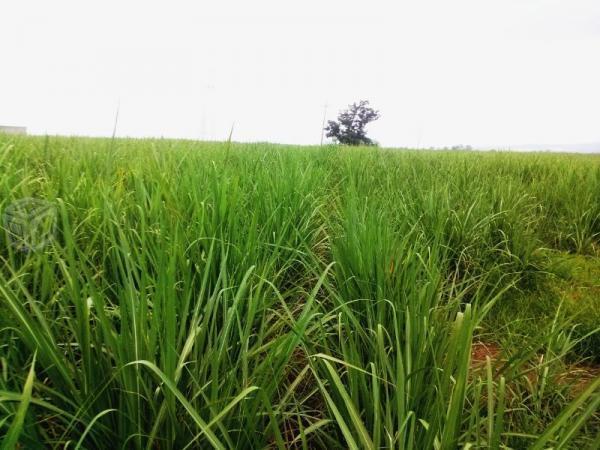 Terreno listo para construir completo o por partes