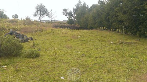 Terreno 320 por metro