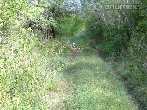 Hermoso Terreno Para Rancho de 55 Has