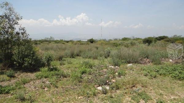 Terreno plano en san jose el alto cerca del rastro