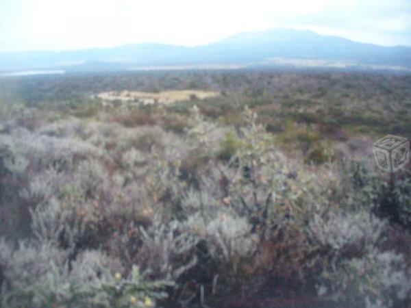 Terreno sobre Carr Toliman -Peña de Bernal,Qro