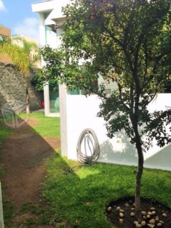 Moderna / terraza / jardin