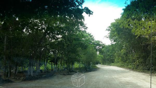 Terreno en playa del carmen