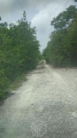 Terreno en Alfredo V Bonfil