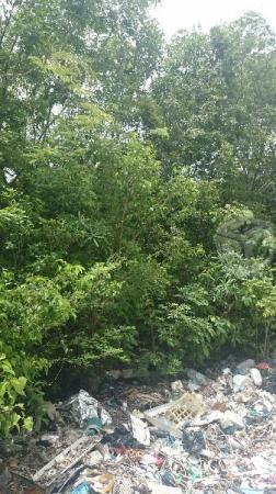 Terreno en Alfredo V Bonfil