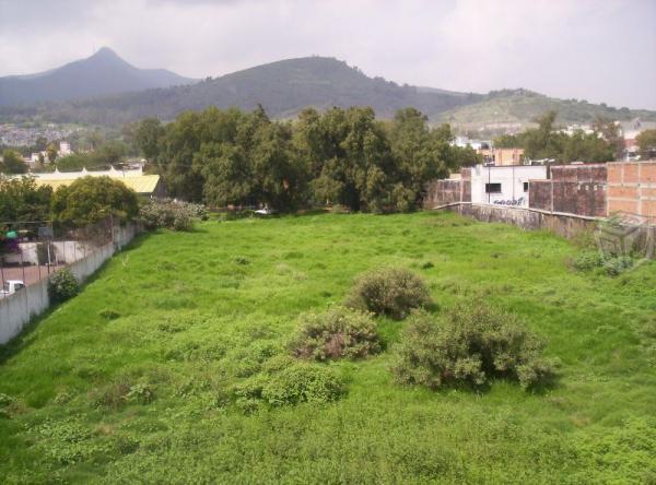 Cerca de la avenida jose lopez portillo