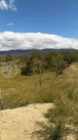 Terreno comanja de corona