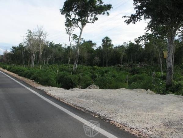 Hermosas hectareas: Ruta De Cenotes- Riviera Maya