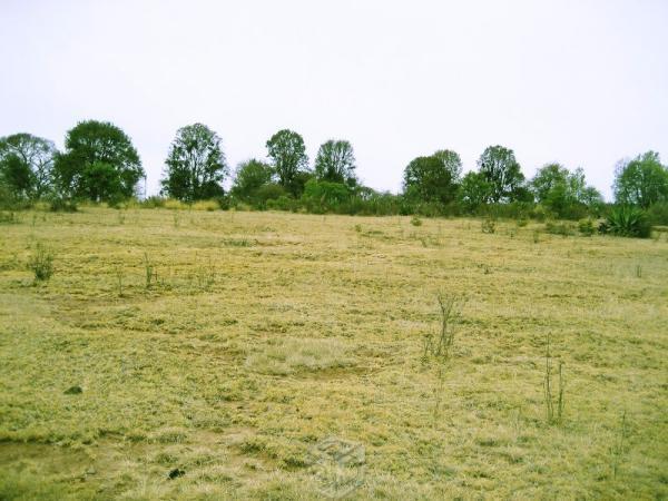 Terreno rústico, agrícola