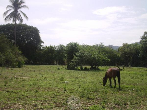 Terreno, con casa rústica, El quemado, Acapulco