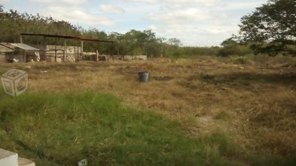 Terreno extenso para negocio o vivienda