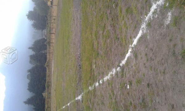 Terrenos lotificados muy cerca a la carretera