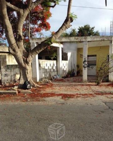 Terreno en la Col. Maya