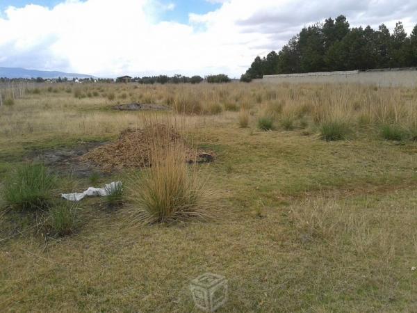 5000m2 hermoso terreno Calz Cuervos Resiencial