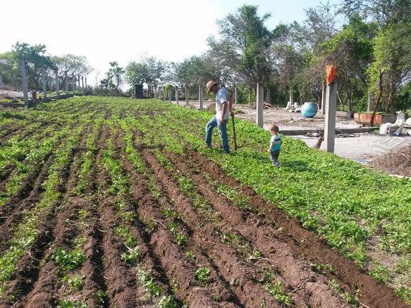 Terreno en xochicalco