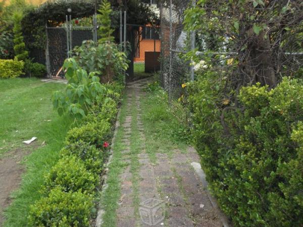 Depa. en planta baja con jardin