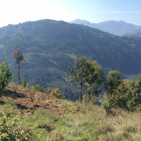 Bonitas 4 hectáreas de monte en zacatlan tuliman