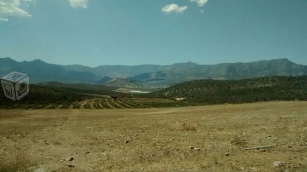 Terreno  La Ermita 30 has