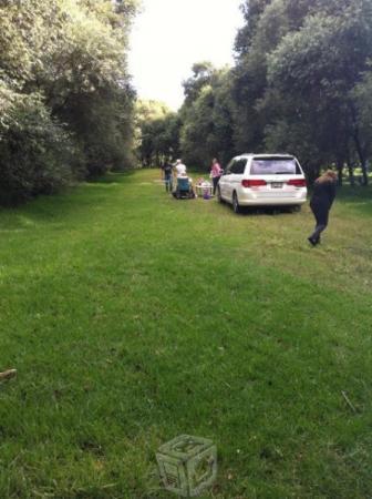 Terreno en zona Boscosa