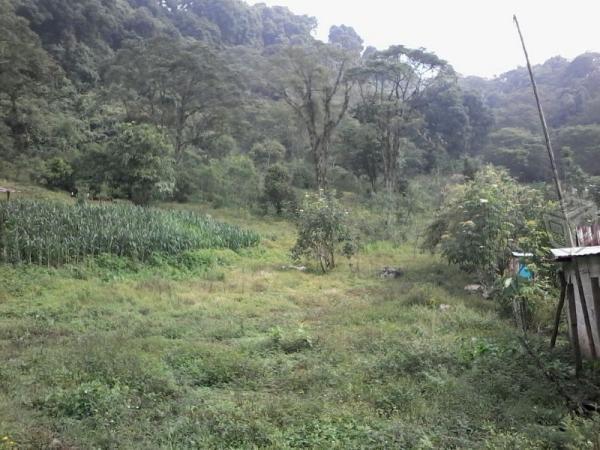 Terreno de 7 hec.cerca de cinco palos