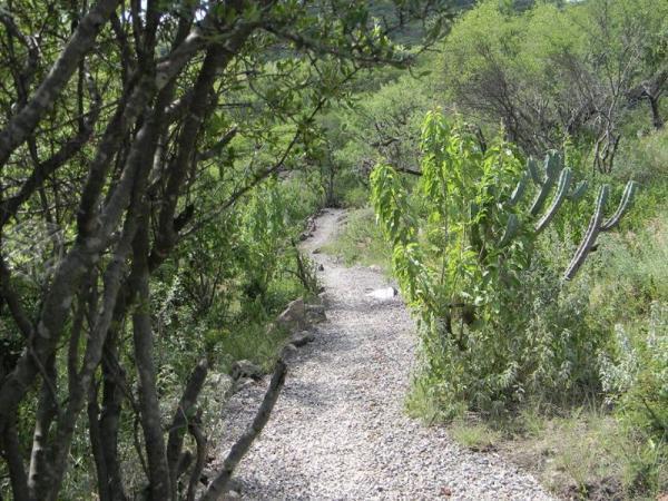 Nueva juriquilla terrenos