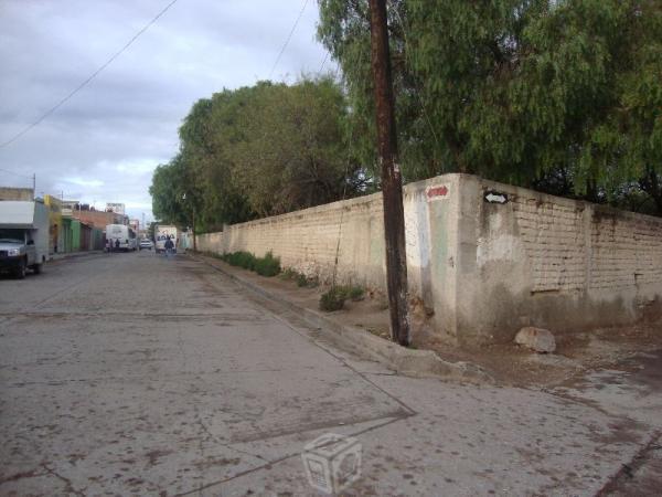 Huerta centrica , S.L.P. a 3 cuadras centro