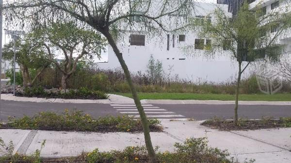 Unico terrero en Zibata