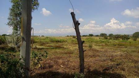 Terreno de 10mil hectáreas en