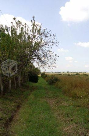 Terreno de 10mil hectáreas en