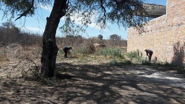 Terrenos en San Pedro Valencia