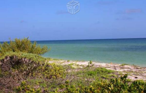 Gran lote frente al mar costa yucatan