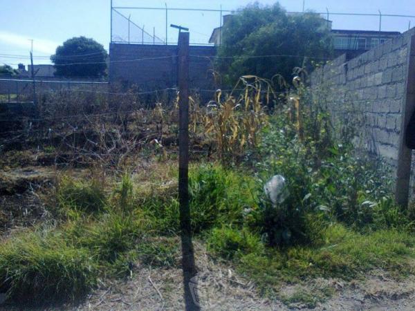 Terreno en los pinos tepojaco