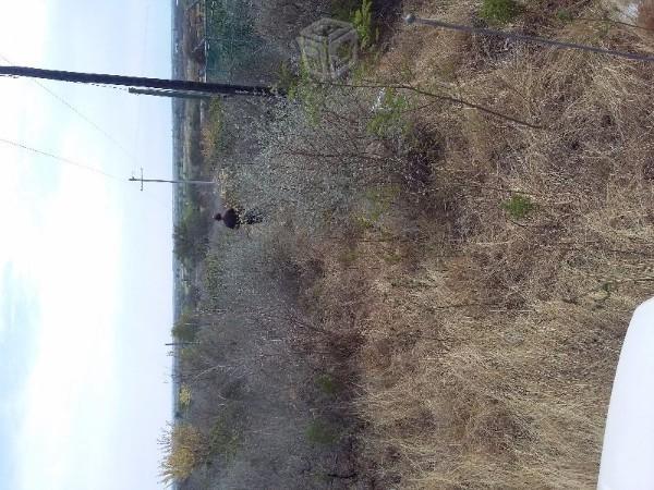 Terreno 1600 m en santa efigenia, cadereyta n.l