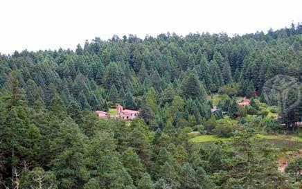 1000 m2 Terreno, escriturado posesión inmediata