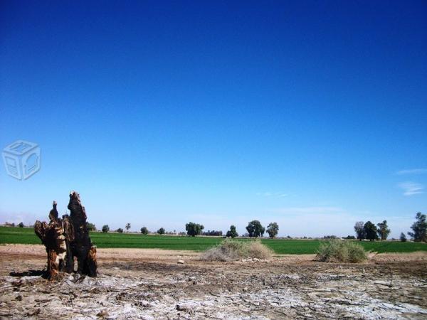 Terreno de 3 hectareas en col. bomba vieja