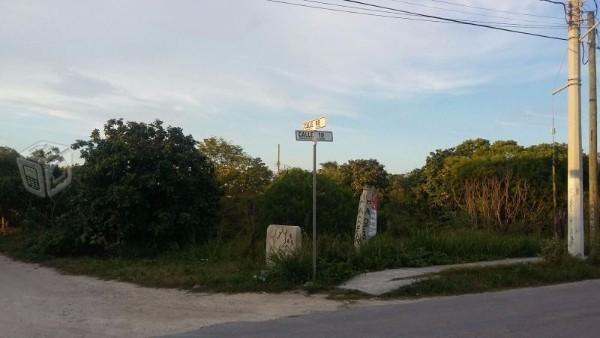 Terreno en renta chicxulub