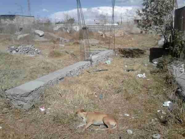 Terreno de 120 metros cuadrados