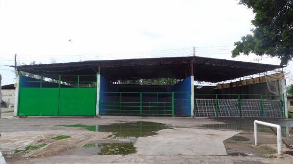 Bodega Renta Toluquilla x Periferico y Adolf Horn