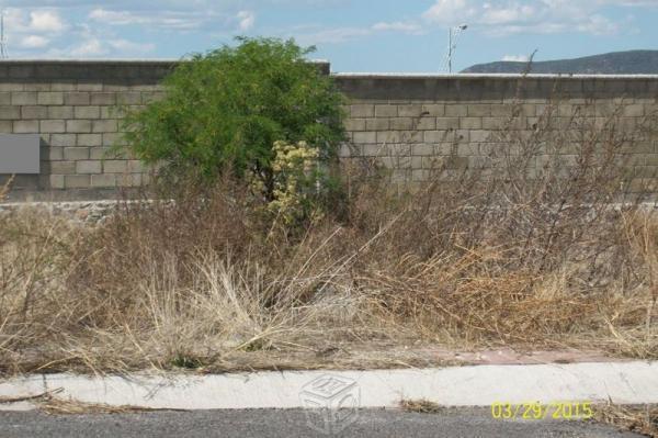 San isidro juriquilla