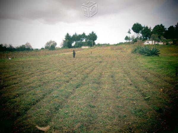 Terreno en Almoloya de Juarez (Yebucivi Centro)