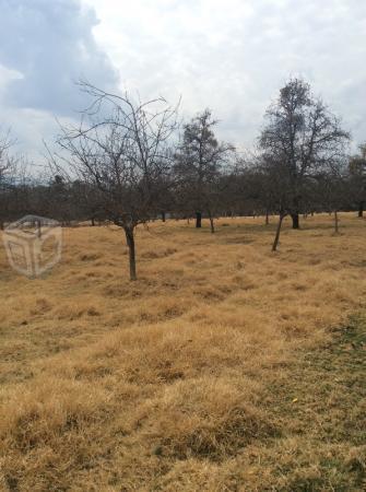 Terreno en Zacatlan en la localidad de Maquixtla