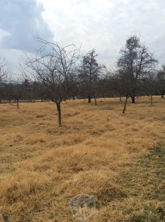 Terreno en Zacatlan en la localidad de Tepozcuautl