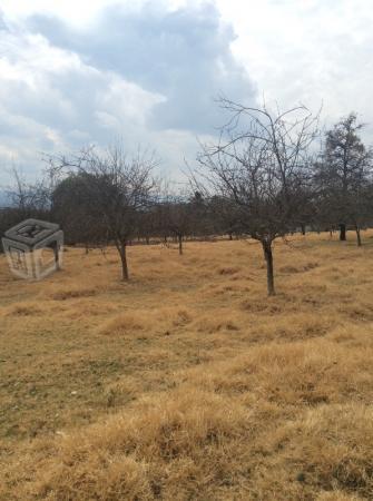 Terreno en Zacatlan en la localidad de Tepozcuautl