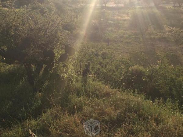 Bonito terreno para casa de campo en