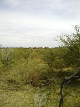 1000m2 planos atras de la nueva UAEM de axochiapan