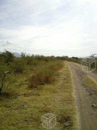 1000m2 planos atras de la nueva UAEM de axochiapan