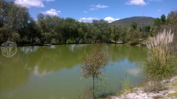 Terrenos El Encino fracc. con lagos artificiales