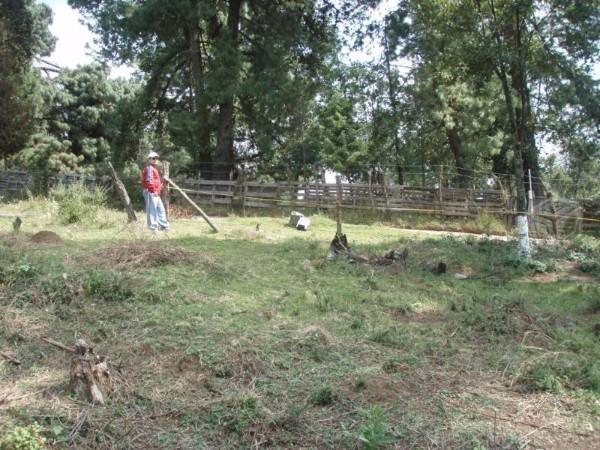 Terreno en 3 marias